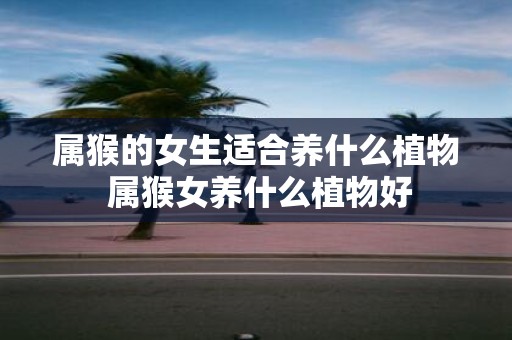 属猴的女生适合养什么植物 属猴女养什么植物好