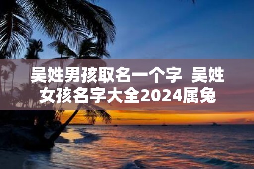 吴姓男孩取名一个字 吴姓女孩名字大全2025属兔