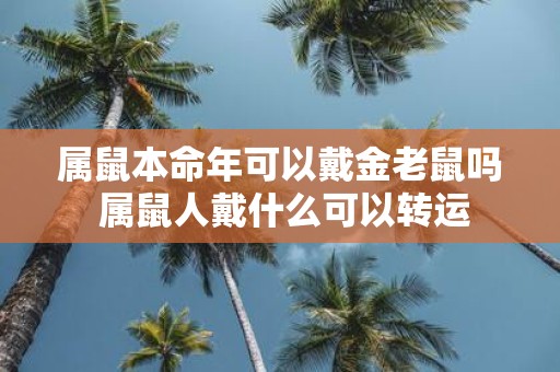 属鼠本命年可以戴金老鼠吗 属鼠人戴什么可以转运