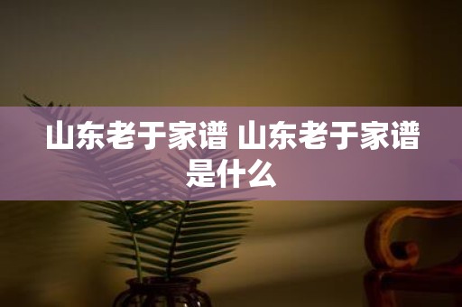 山东老于家谱 山东老于家谱是什么