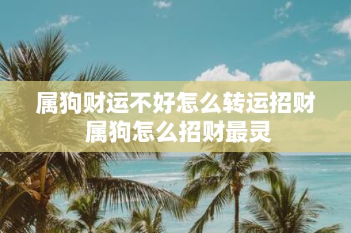 属狗财运不好怎么转运招财 属狗怎么招财最灵