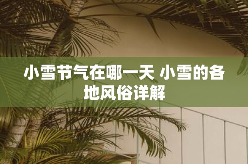小雪节气在哪一天 小雪的各地风俗详解
