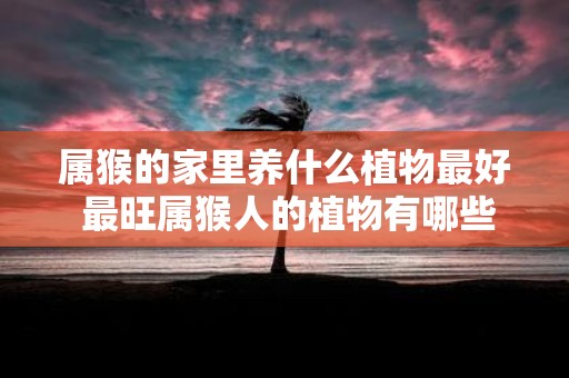 属猴的家里养什么植物最好 最旺属猴人的植物有哪些