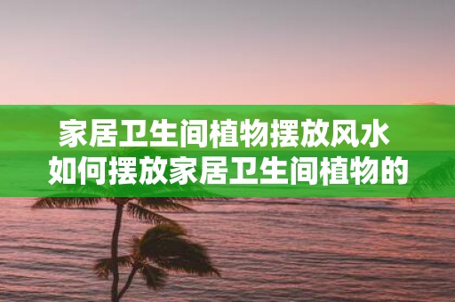 家居卫生间植物摆放风水 如何摆放家居卫生间植物的风水