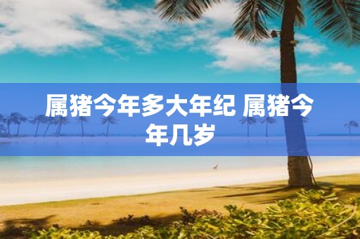 属猪今年多大年纪 属猪今年几岁