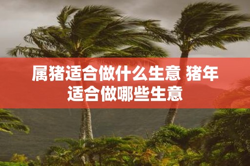 属猪适合做什么生意 猪年适合做哪些生意