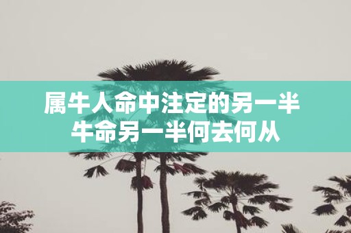 属牛人命中注定的另一半 牛命另一半何去何从