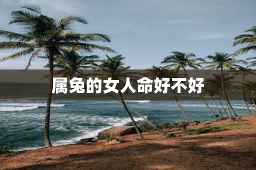 属兔的女人命好不好