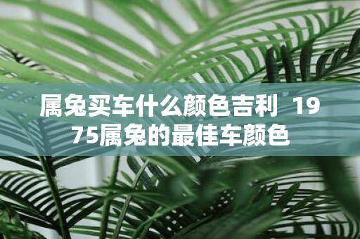 属兔买车什么颜色吉利 1975属兔的最佳车颜色