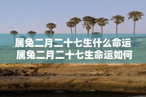属兔二月二十七生什么命运 属兔二月二十七生命运如何