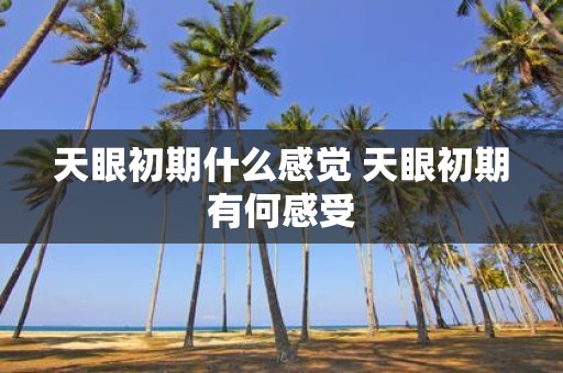 天眼初期什么感觉 天眼初期有何感受