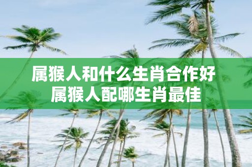 属猴人和什么生肖合作好 属猴人配哪生肖最佳