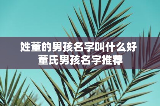 姓董的男孩名字叫什么好 董氏男孩名字推荐