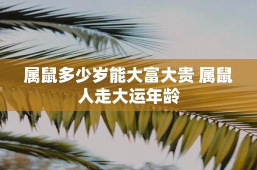 属鼠多少岁能大富大贵 属鼠人走大运年龄