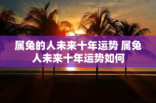 属兔的人未来十年运势 属兔人未来十年运势如何