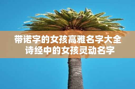 带诺字的女孩高雅名字大全 诗经中的女孩灵动名字