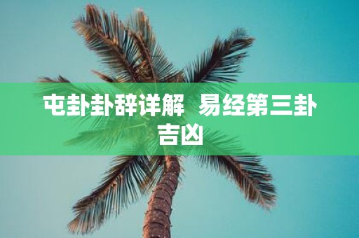 屯卦卦辞详解 易经第三卦吉凶