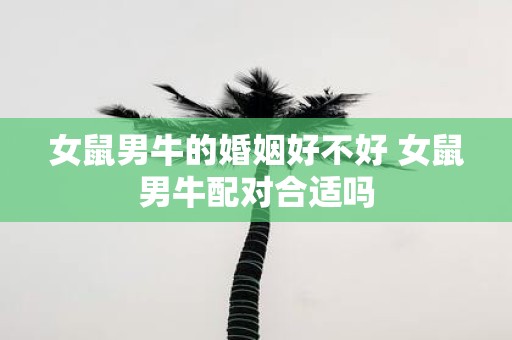 女鼠男牛的婚姻好不好 女鼠男牛配对合适吗