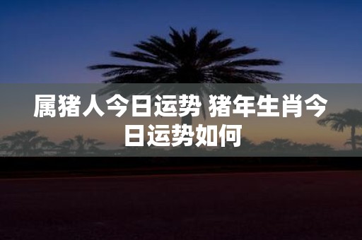 属猪人今日运势 猪年生肖今日运势如何