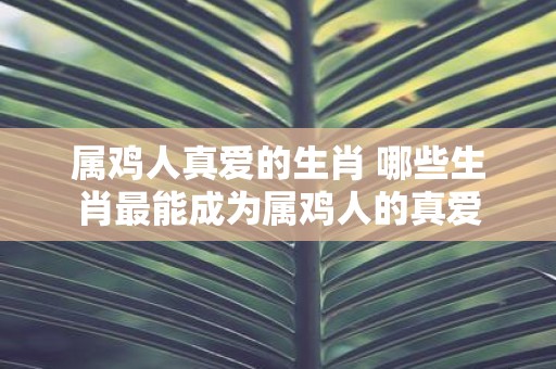 属鸡人真爱的生肖 哪些生肖最能成为属鸡人的真爱