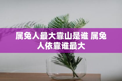 属兔人最大靠山是谁 属兔人依靠谁最大