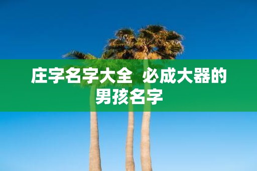 庄字名字大全 必成大器的男孩名字