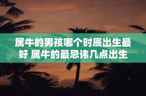 属牛的男孩哪个时辰出生最好 属牛的最忌讳几点出生