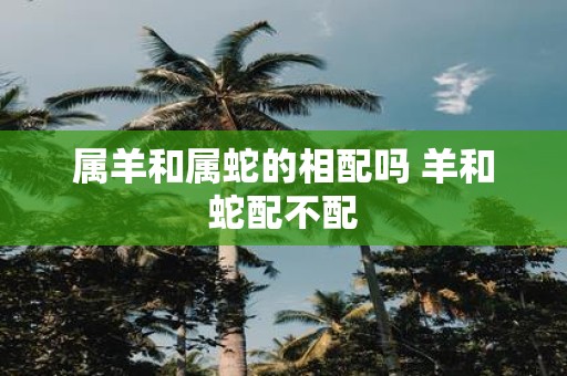 属羊和属蛇的相配吗 羊和蛇配不配