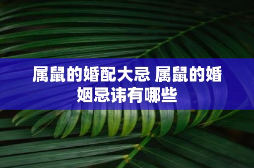 属鼠的婚配大忌 属鼠的婚姻忌讳有哪些