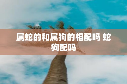 属蛇的和属狗的相配吗 蛇狗配吗