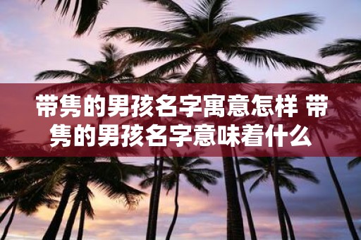 带隽的男孩名字寓意怎样 带隽的男孩名字意味着什么