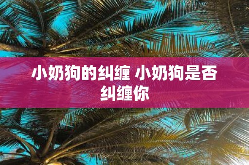 小奶狗的纠缠 小奶狗是否纠缠你