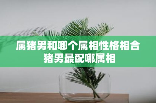 属猪男和哪个属相性格相合 猪男最配哪属相