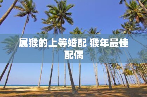 属猴的上等婚配 猴年最佳配偶