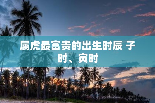 属虎最富贵的出生时辰 子时、寅时