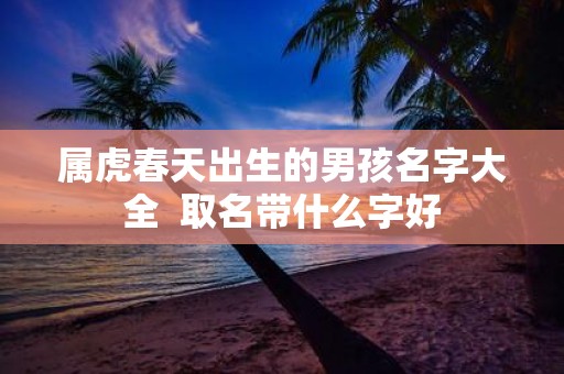 属虎春天出生的男孩名字大全 取名带什么字好