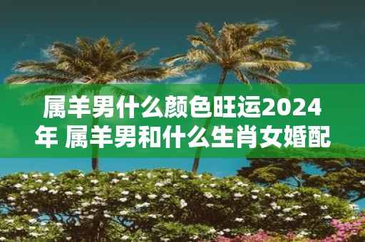 属羊男什么颜色旺运2025年 属羊男和什么生肖女婚配吉利