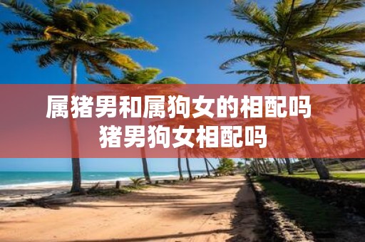 属猪男和属狗女的相配吗 猪男狗女相配吗