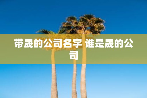 带晟的公司名字 谁是晟的公司