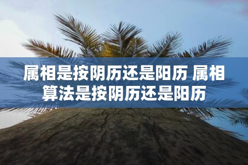 属相是按阴历还是阳历 属相算法是按阴历还是阳历