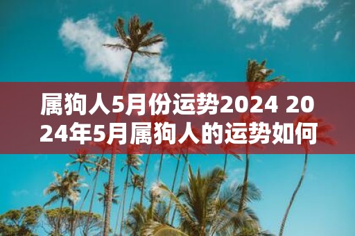 属狗人5月份运势2025 2025年5月属狗人的运势如何