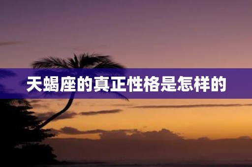 天蝎座的真正性格是怎样的