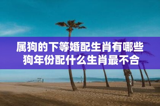 属狗的下等婚配生肖有哪些 狗年份配什么生肖最不合适