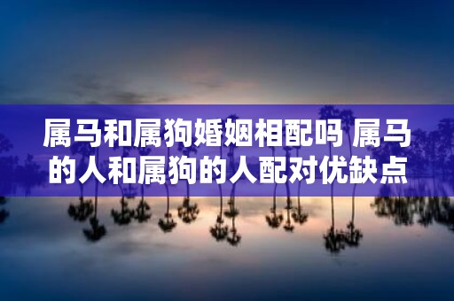 属马和属狗婚姻相配吗 属马的人和属狗的人配对优缺点