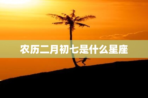 农历二月初七是什么星座
