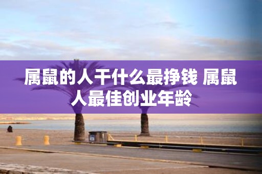 属鼠的人干什么最挣钱 属鼠人最佳创业年龄