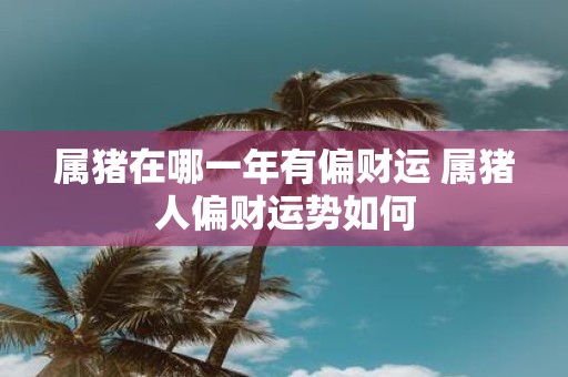 属猪在哪一年有偏财运 属猪人偏财运势如何