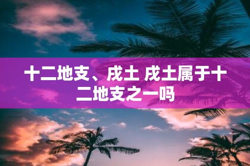 十二地支、戌土 戌土属于十二地支之一吗