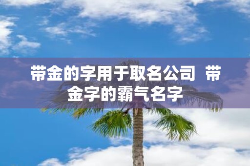 带金的字用于取名公司 带金字的霸气名字