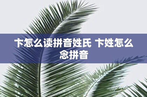 卞怎么读拼音姓氏 卞姓怎么念拼音